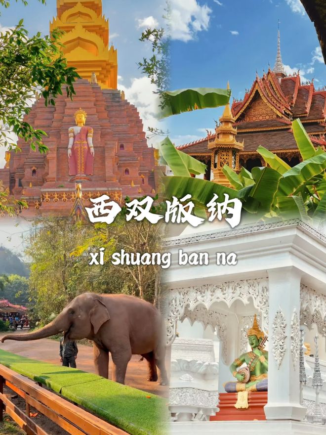 好雨林！西双版纳毕业8日游冰球突破豪华版再见校园·你(图3)