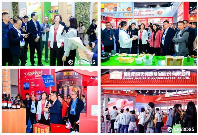 十一届中国(国际)调味品及食品配料博览会在广州闭幕冰球突破豪华版手机版食品展会网：CFE2025第二(图3)